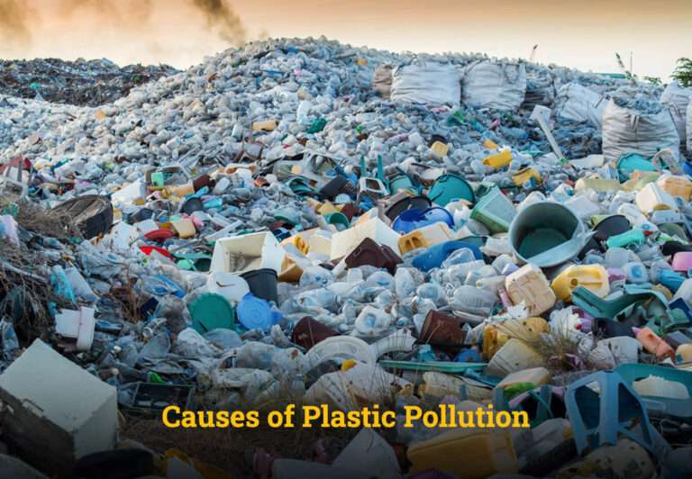 Causes of Plastic Pollution