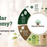 What is a Circular Economy