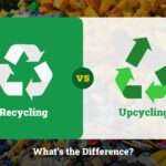 Recycling vs Upcycling