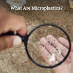 What Are Microplastics