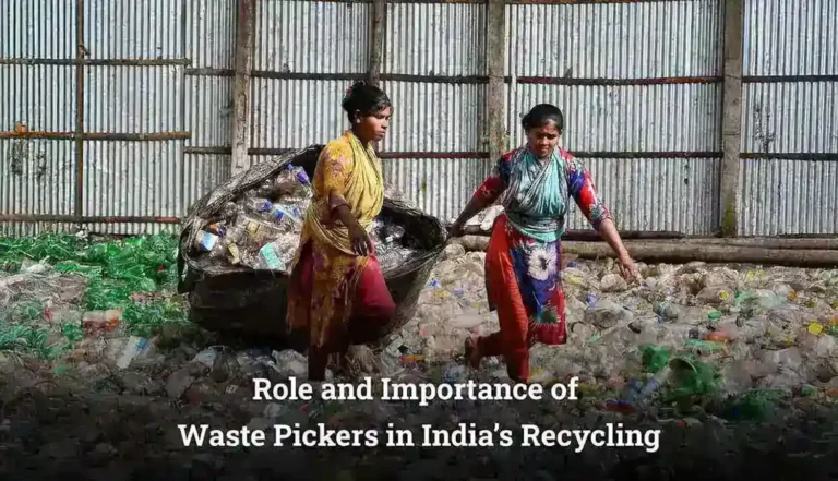 Waste Pickers in Indias Recycling