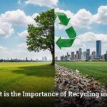 What is the Importance of Recycling in India