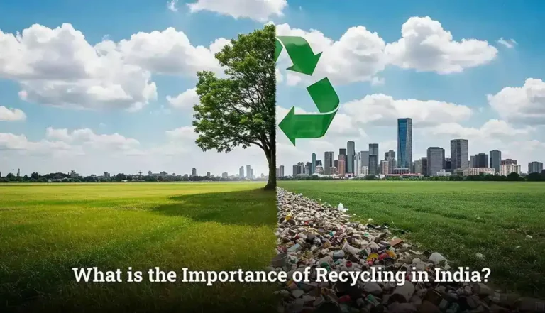 What is the Importance of Recycling in India
