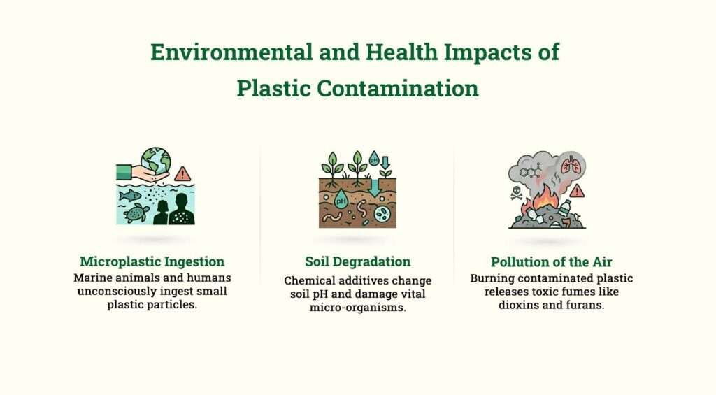 Environmental and Health Impacts of Plastic Contamination