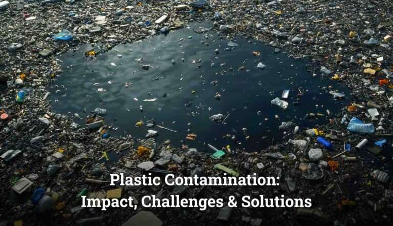 Plastic Contamination Impact Challenges Solutions