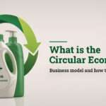 What is the Circular Economy Business Model and How to Adopt It