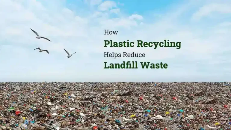 How Plastic Recycling Helps Reduce Landfill Waste