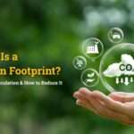 What Is a Carbon Footprint