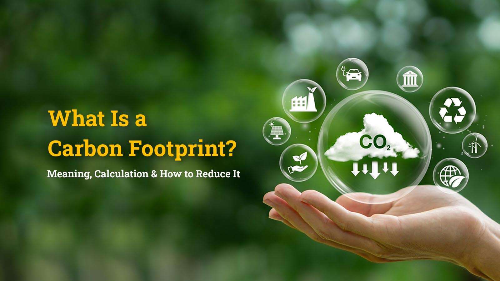 What Is a Carbon Footprint